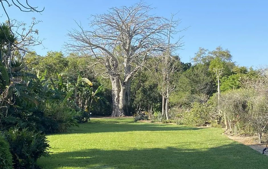 John C. Gifford Arboretum, United States